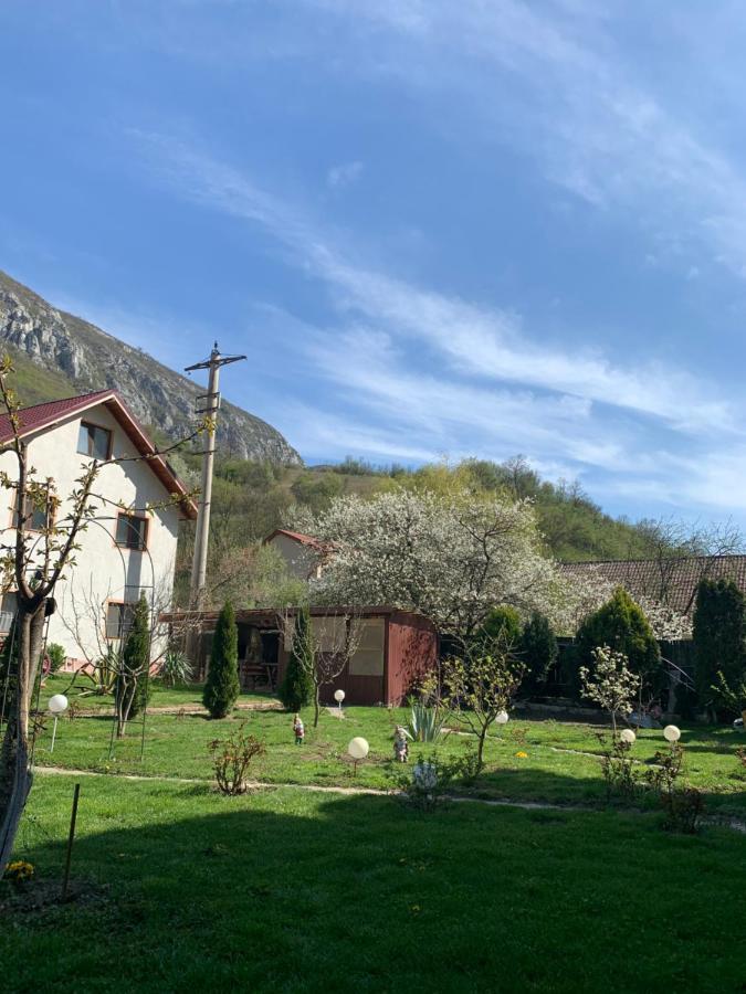 Pension Rouademunte เบยเล เฮร์คูลาเน ภายนอก รูปภาพ