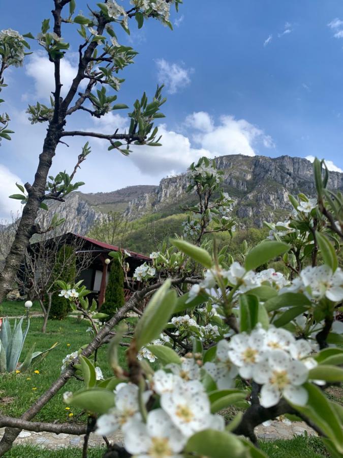 Pension Rouademunte เบยเล เฮร์คูลาเน ภายนอก รูปภาพ