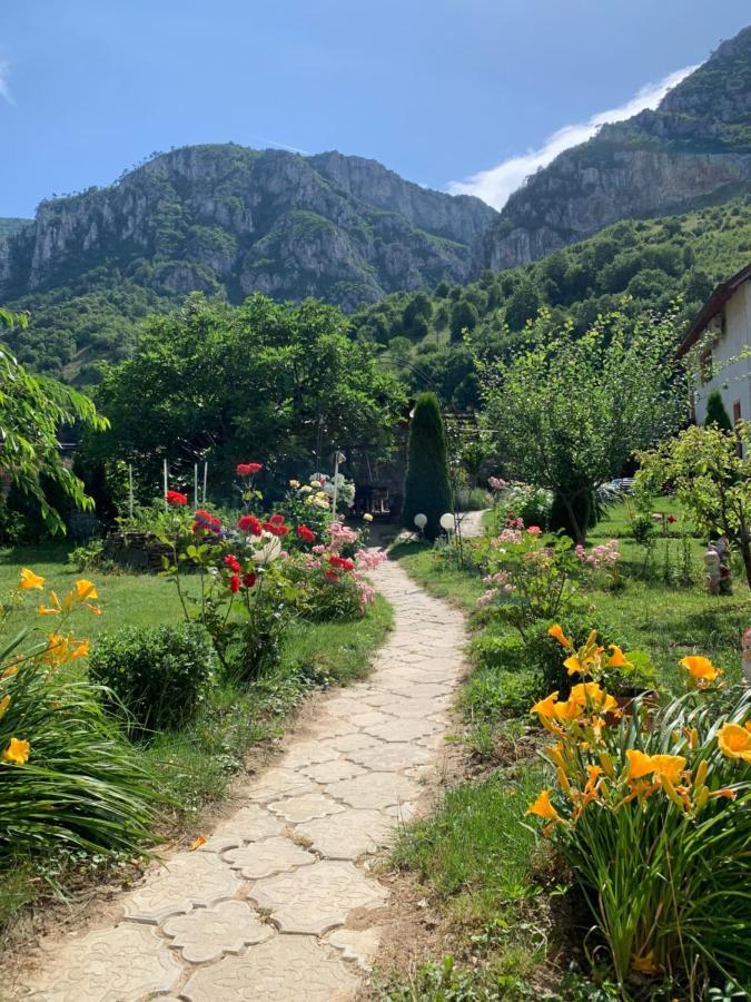 Pension Rouademunte เบยเล เฮร์คูลาเน ภายนอก รูปภาพ