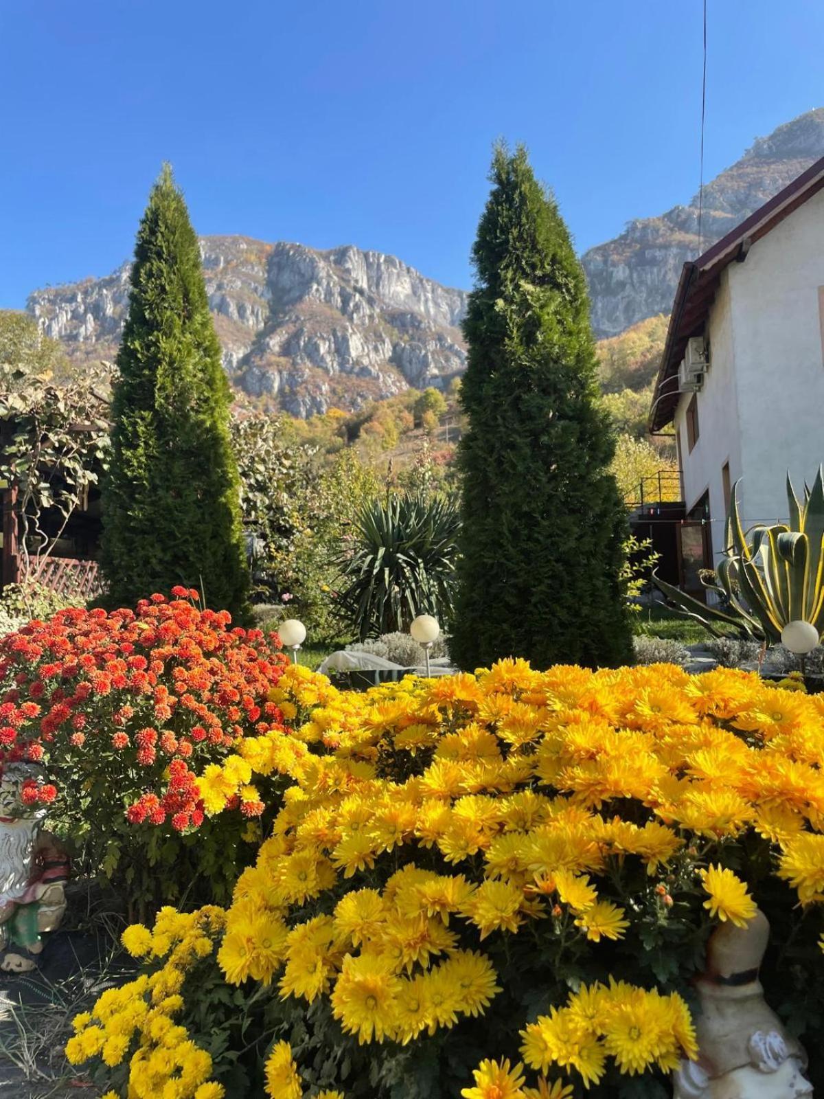 Pension Rouademunte เบยเล เฮร์คูลาเน ภายนอก รูปภาพ