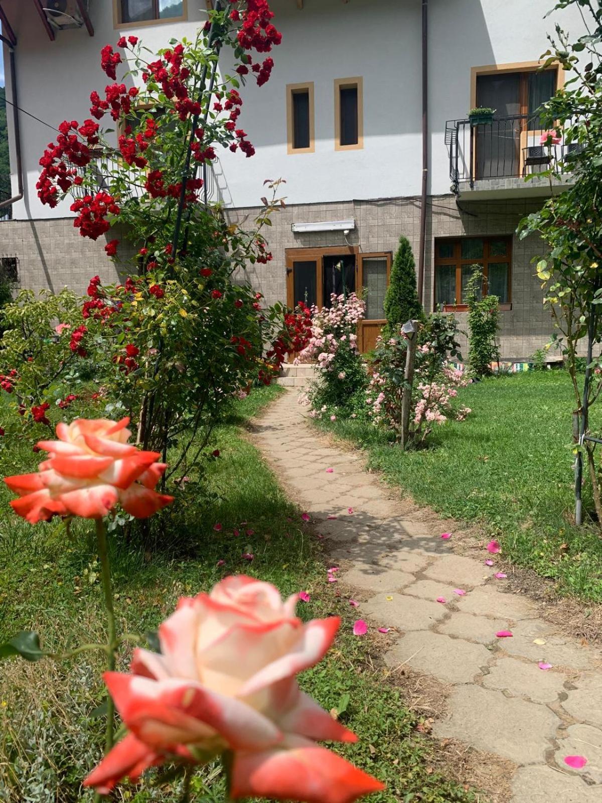 Pension Rouademunte เบยเล เฮร์คูลาเน ภายนอก รูปภาพ